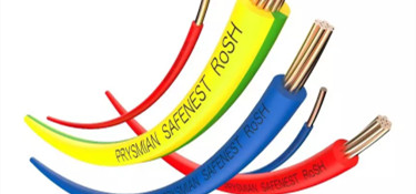 為揭露電線的奧秘，行業(yè)裝修專家親赴電線工廠？